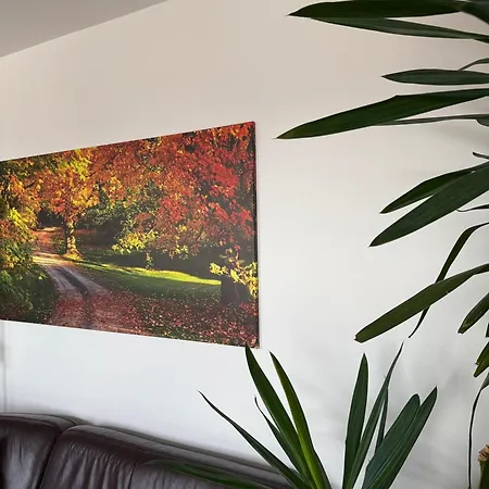Rubicon Apartment