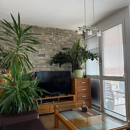 Rubicon * 포프라트