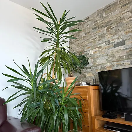 Rubicon Διαμέρισμα *